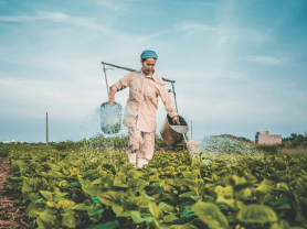 Global Tobacco Control