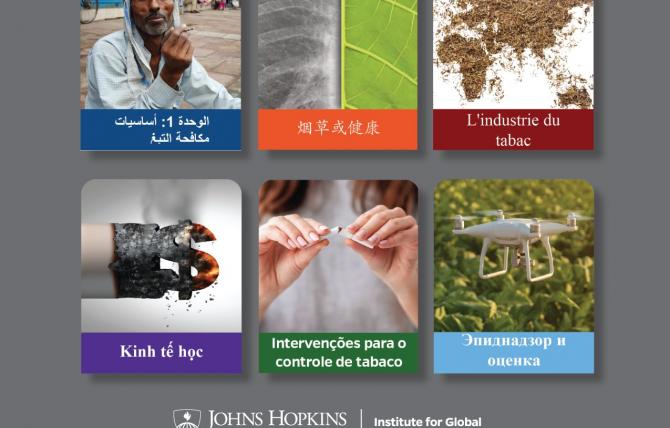 Global Tobacco Control: Learning from the Experts online course image